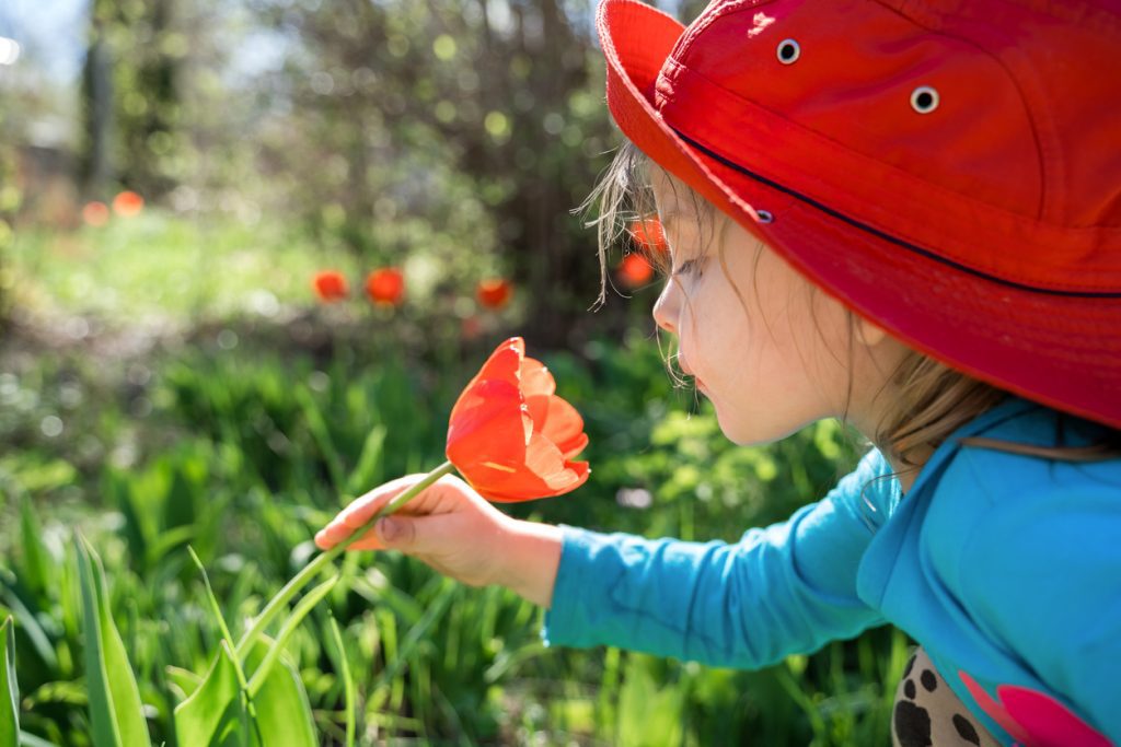 The profile of a young child wearing a red hat and a blue jacket, crouched down and leaning forward to smell a red flower.